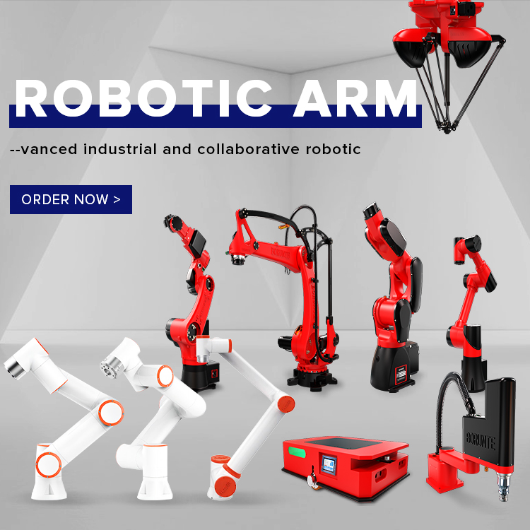 Braccio Robotico Industriale a - Robot Gripper recensione e prezzo