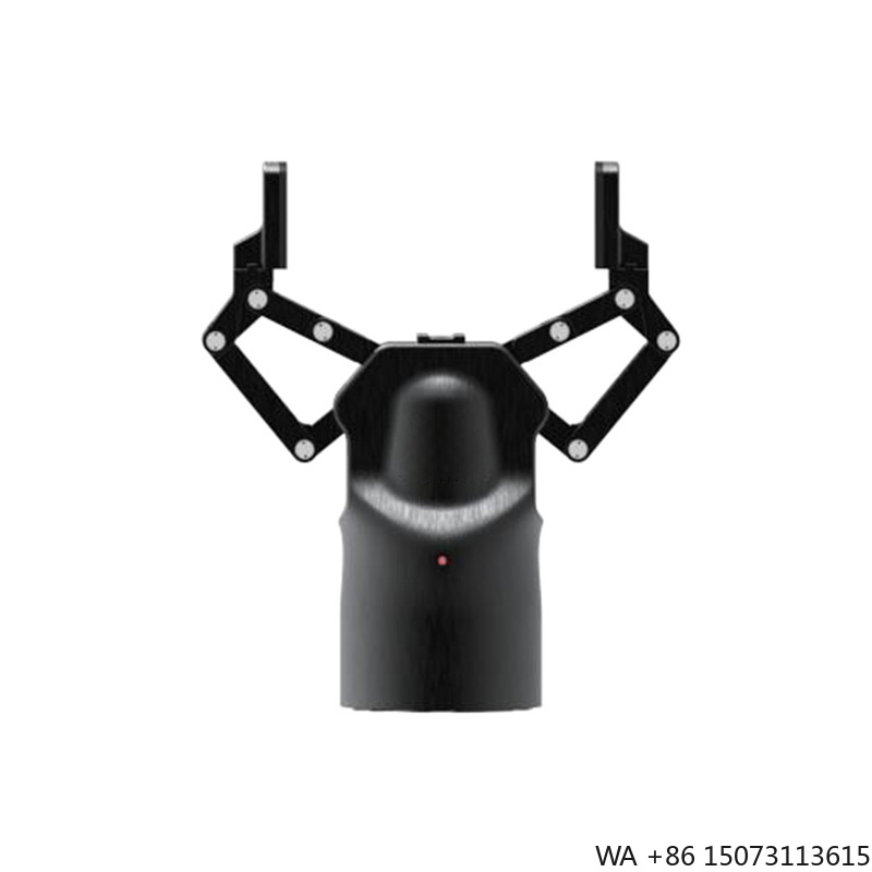 Pinza Elettrica Servo a Due Di - Robot Kit recensione e prezzo