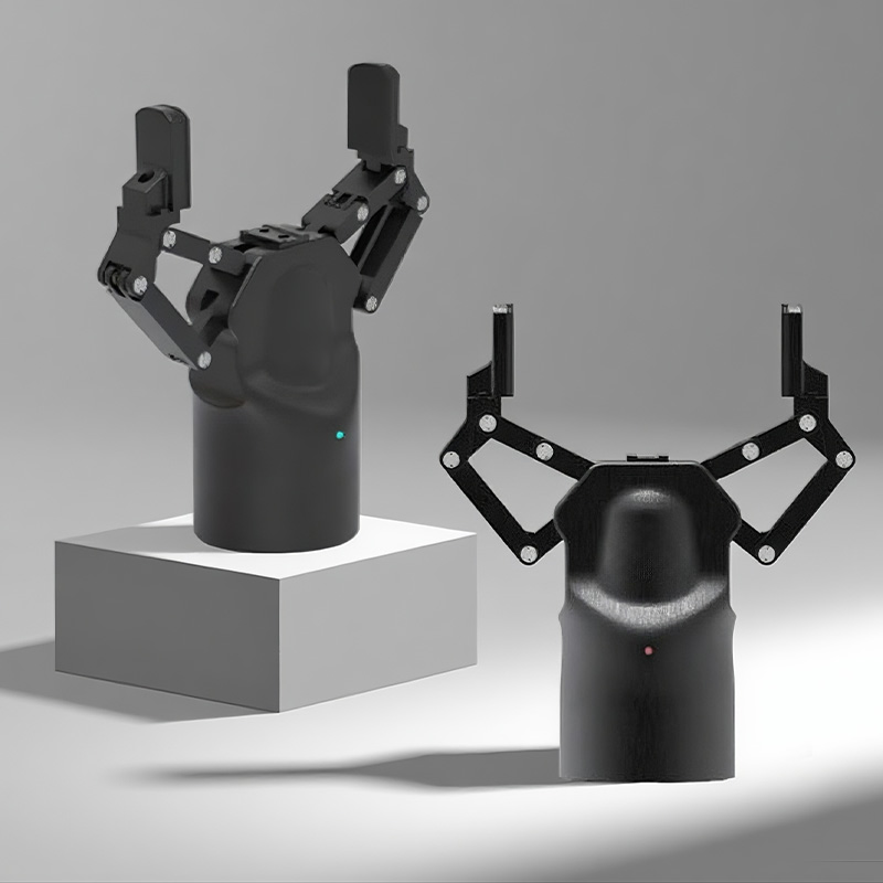 Pinza Elettrica Servo a Due Di - Robot Kit recensione e prezzo
