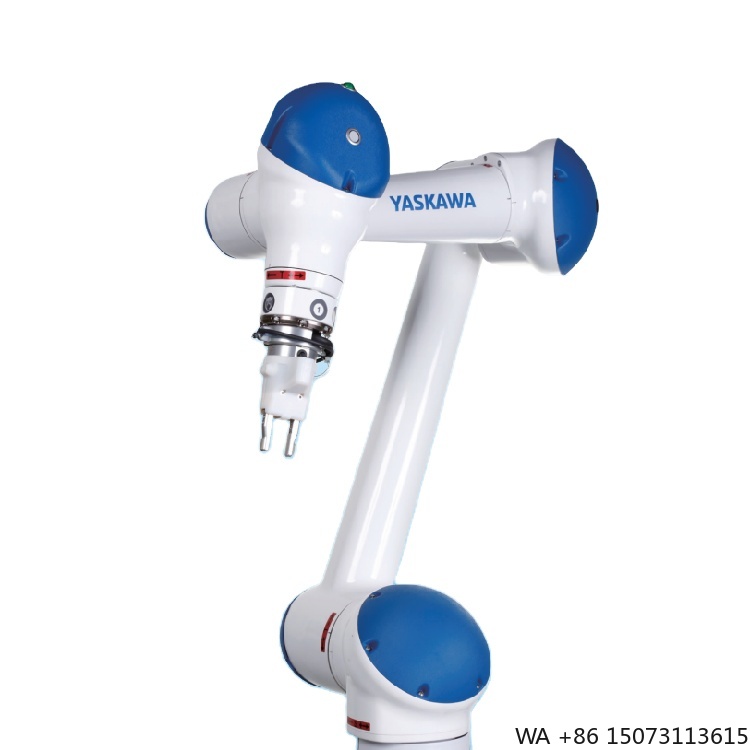 Braccio Robotico Collaborativo - Robot Gripper recensione e prezzo